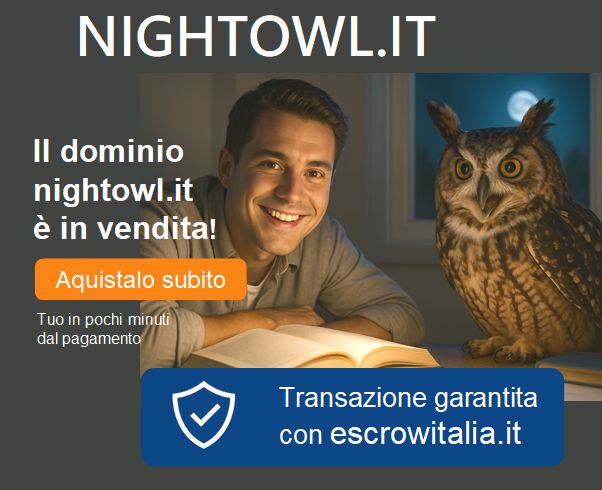 Immagine rappresentativa del dominio in vendita nightowl.it